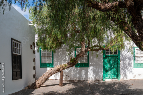 Architecture and greenery, Teguise, Lanzarote, Spain photo