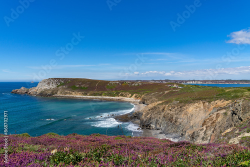 Bilde på lerret Vue sur la pointe de Dinan sous un ciel bleu et au bord des eaux turquoises de la mer d'Iroise, agrémentée d'un parterre de bruyères en fleurs violettes