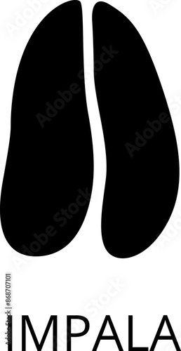 Animals footprints. Realistic Prints wildlife foot icon, bird paw, pets footstep silhouette, print hoofed feet. Cat, dog, wolf, chicken, horse and other vector illustrations.