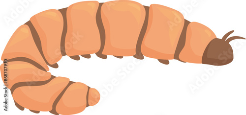 Mealworm larva is making its way across a white background