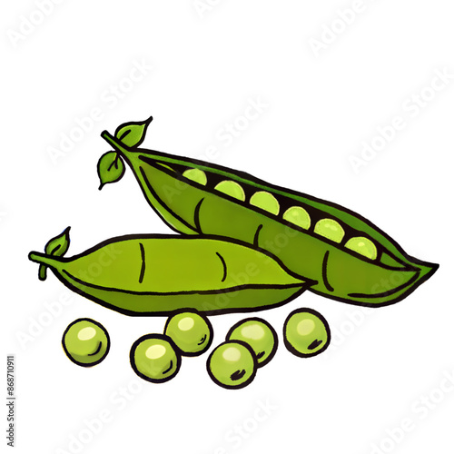 Green peas in pod illustration