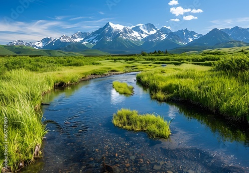 Fototapeta Naklejka Na Ścianę i Meble -  Alaskan Wilderness Stream and Snow-Capped Mountains