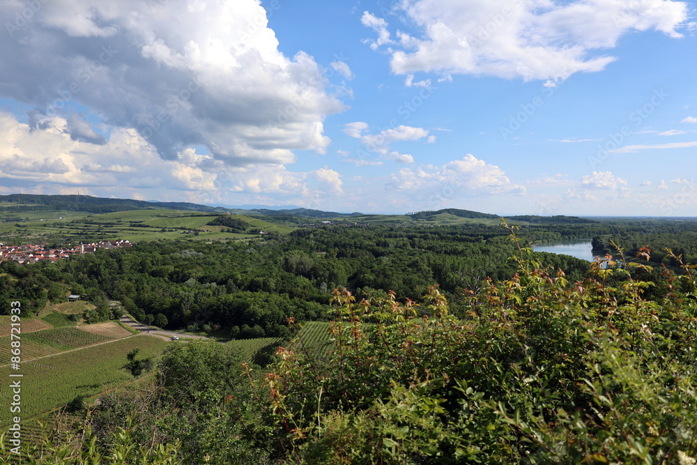 Obraz premium Der Rhein uns Sasbach am Kaiserstuhl im Frühling