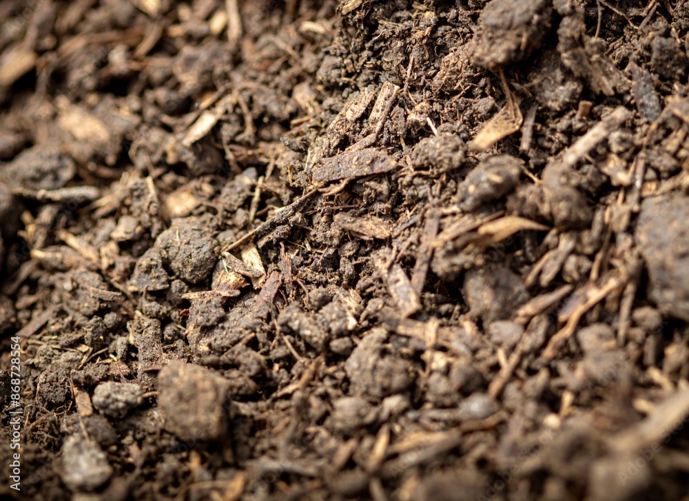 just made compost texture just made compost texture