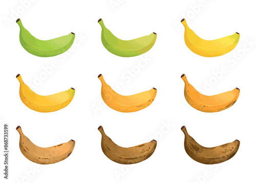 Banana ripeness stages. Different organic fruit peel color from green to brown, organic rotten and fresh ripe fruit. Vegetarian healthy food vector set of banana ripen and rot stage illustration
