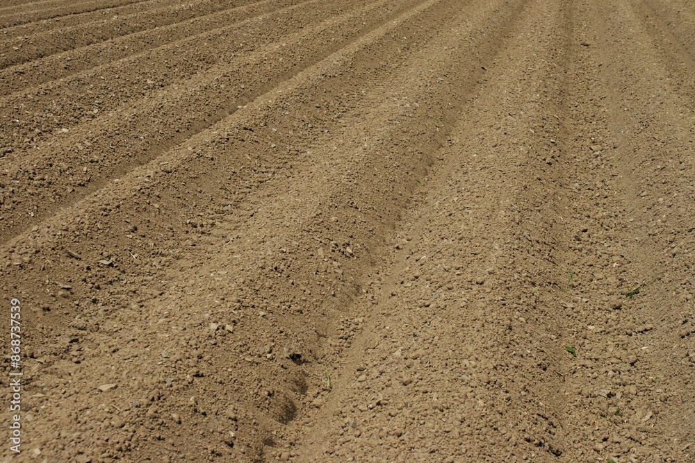 Freshly made furrows on a sunny spring day. Agriculture farming. Freshly made furrows on a sunny spring day. Agriculture farming.