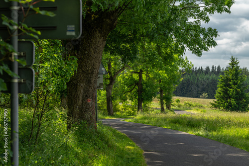 Forests and meadows in Krusne mountains with sunny fresh color day photo