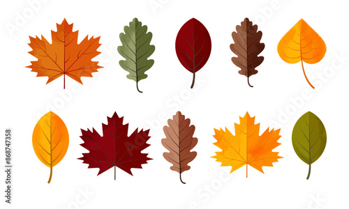 A set of fall leaves. Isolated vector illustration