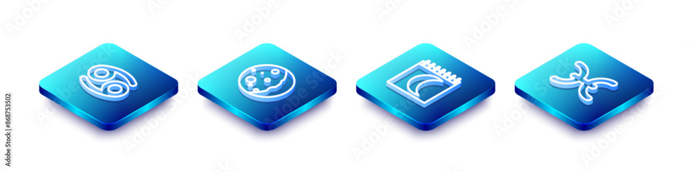 Set Isometric line Cancer zodiac, Eclipse of the sun, Moon phases calendar and Pisces icon. Vector Set Isometric line Cancer zodiac, Eclipse of the sun, Moon phases calendar and Pisces icon. Vector