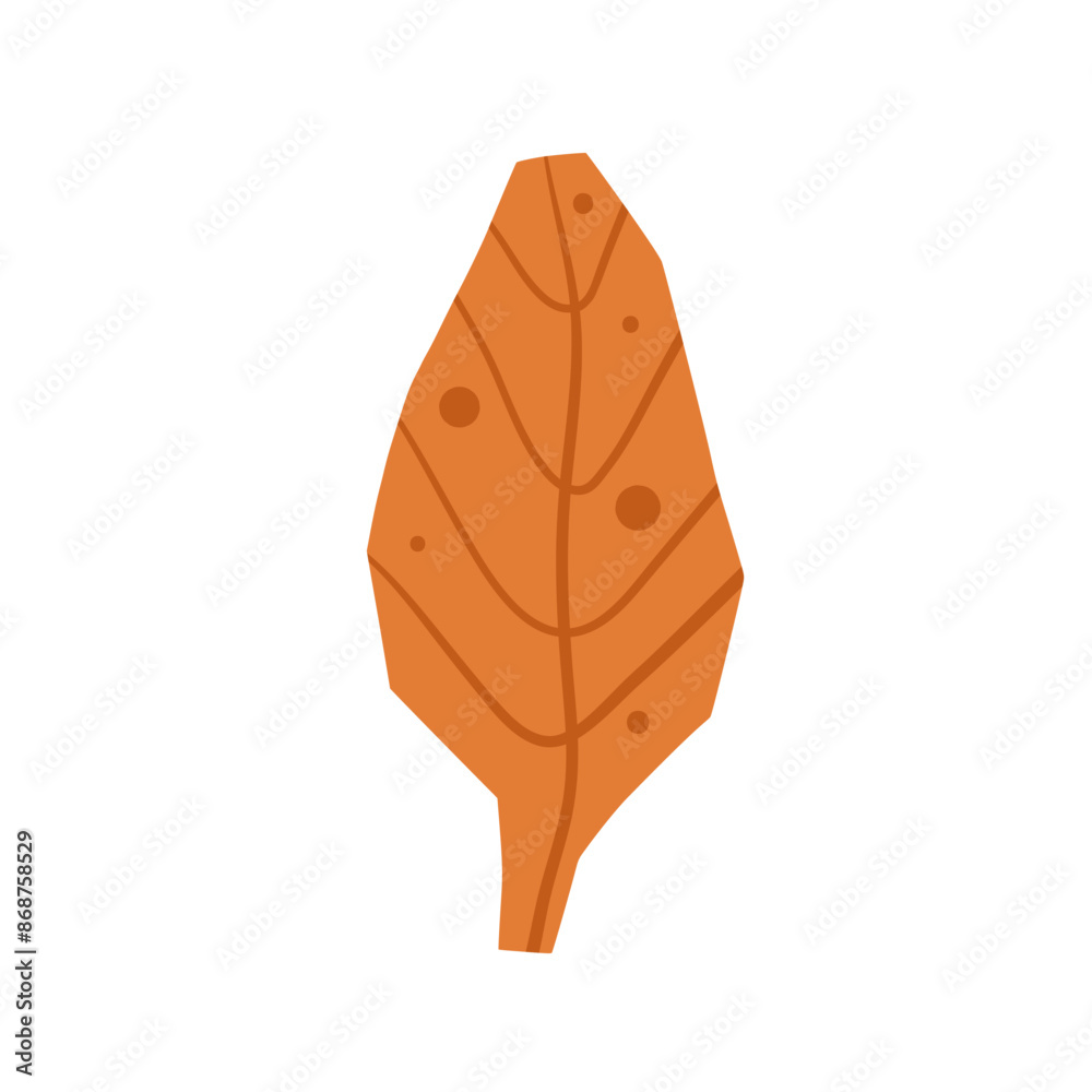 Cut out paper autumn leaf isolated on white background. Fall tree textured shape. Vector hand drawn illustration. Cut out paper autumn leaf isolated on white background. Fall tree textured shape. Vector hand drawn illustration.