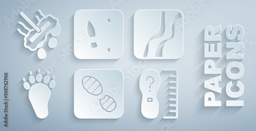 Set Human footprints shoes, Snake paw, Bear, Square measure size, and Mop icon. Vector