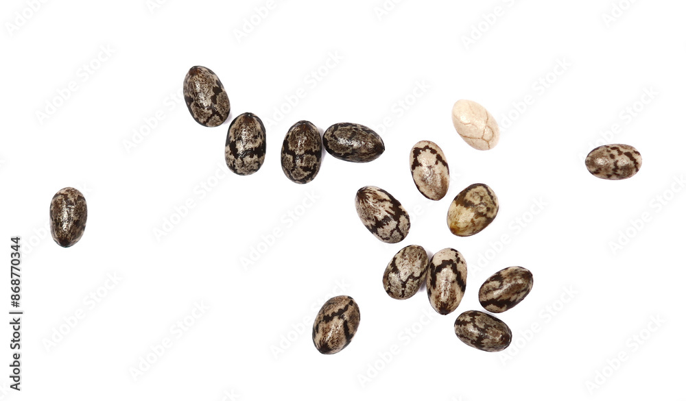 Chia seeds, Salvia hispanica, macro isolated on white background, top view Chia seeds, Salvia hispanica, macro isolated on white background, top view