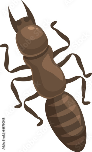 Brown termite insect pest crawling isolated on white background