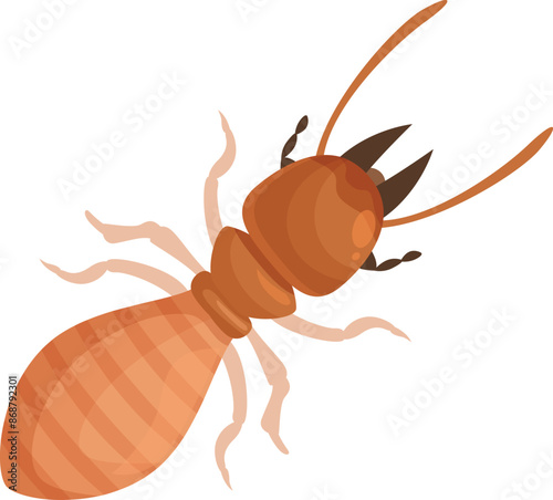 Big brown termite insect crawling on a white background