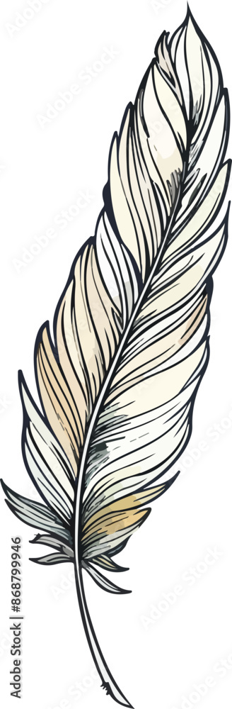 Obraz premium feather vector illustration isolated on transparent background. 