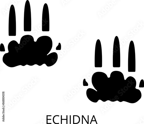 Animals footprints. Realistic Prints wildlife foot icon, bird paw, pets footstep silhouette, print hoofed feet. Cat, dog, wolf, chicken, horse and other vector illustrations.