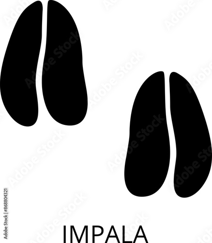 Animals footprints. Realistic Prints wildlife foot icon, bird paw, pets footstep silhouette, print hoofed feet. Cat, dog, wolf, chicken, horse and other vector illustrations.