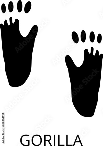 Animals footprints. Realistic Prints wildlife foot icon, bird paw, pets footstep silhouette, print hoofed feet. Cat, dog, wolf, chicken, horse and other vector illustrations.
