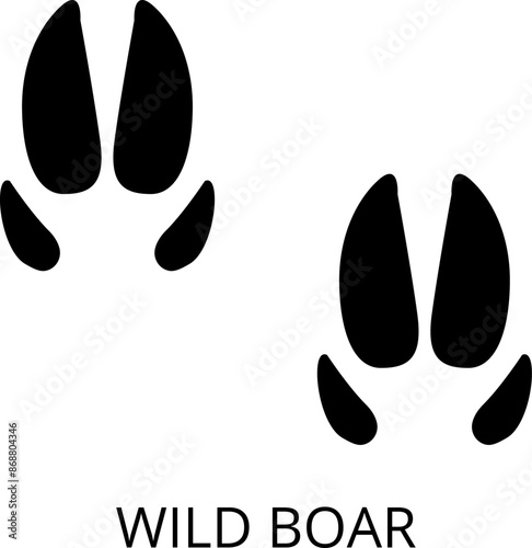 Animals footprints. Realistic Prints wildlife foot icon, bird paw, pets footstep silhouette, print hoofed feet. Cat, dog, wolf, chicken, horse and other vector illustrations.