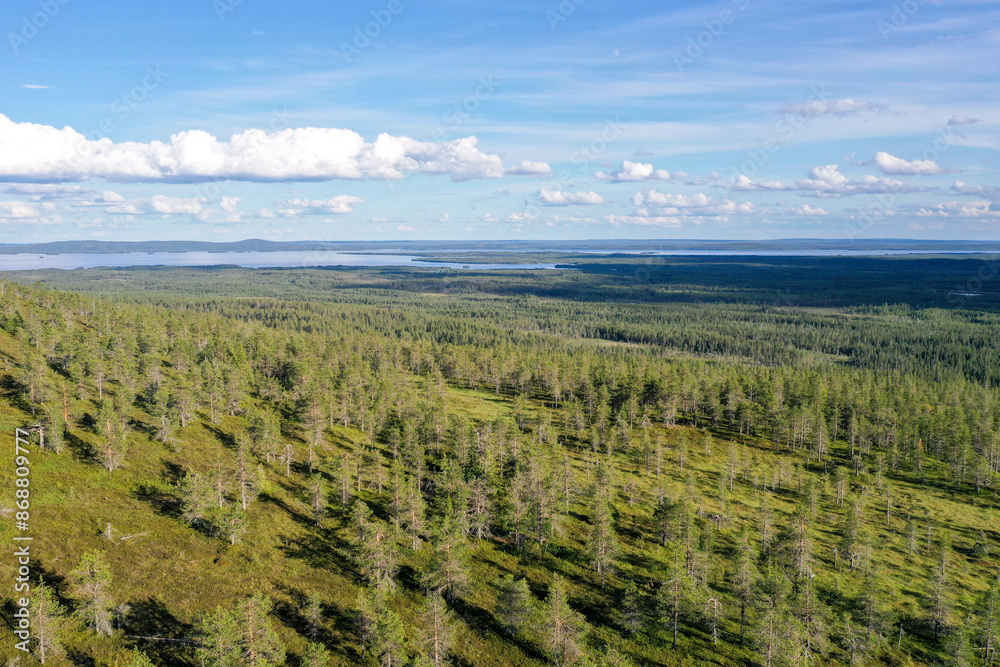 Fototapeta premium Summery aerial view of a coniferous forest at Riisitunturi national park, Posio, Northern Finland, Europe