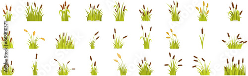 Grass reed icons set. Collection of green reed plants growing in swamp