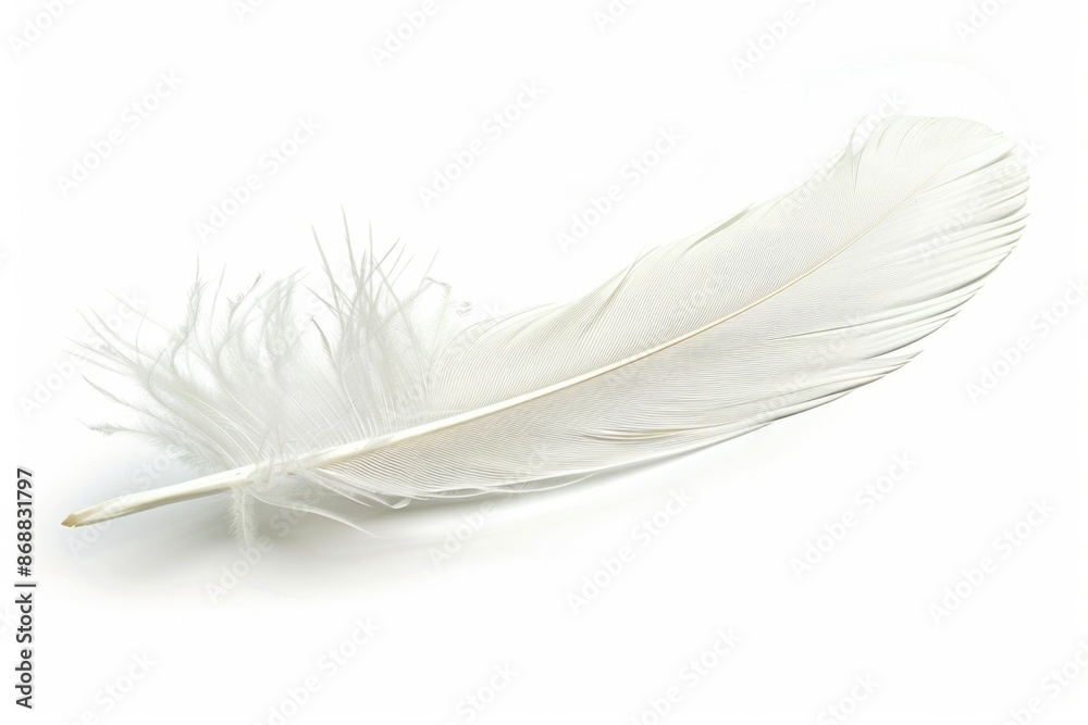 Obraz premium A single white feather on a plain white background