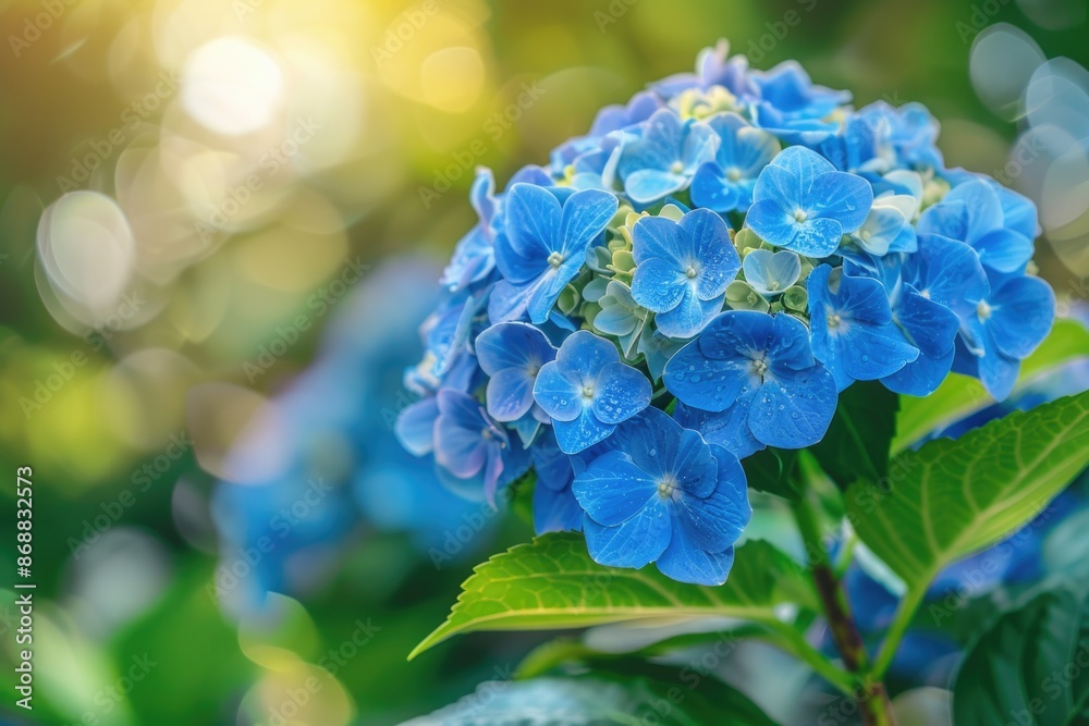 A close-up shot of a blue flower with green leaves, perfect for use in botanical or nature-themed projects A close-up shot of a blue flower with green leaves, perfect for use in botanical or nature-themed projects
