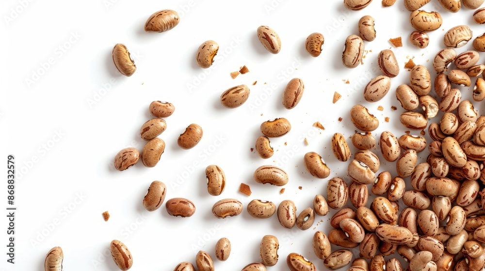 A collection of beans arranged on a clean, white background A collection of beans arranged on a clean, white background