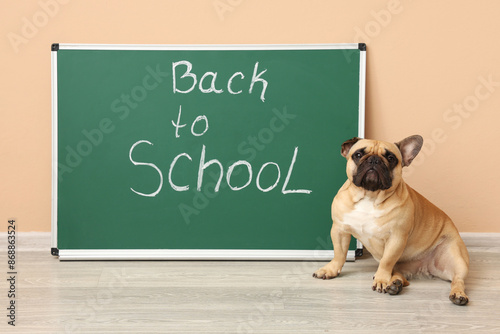 Green chalkboard with text ...
