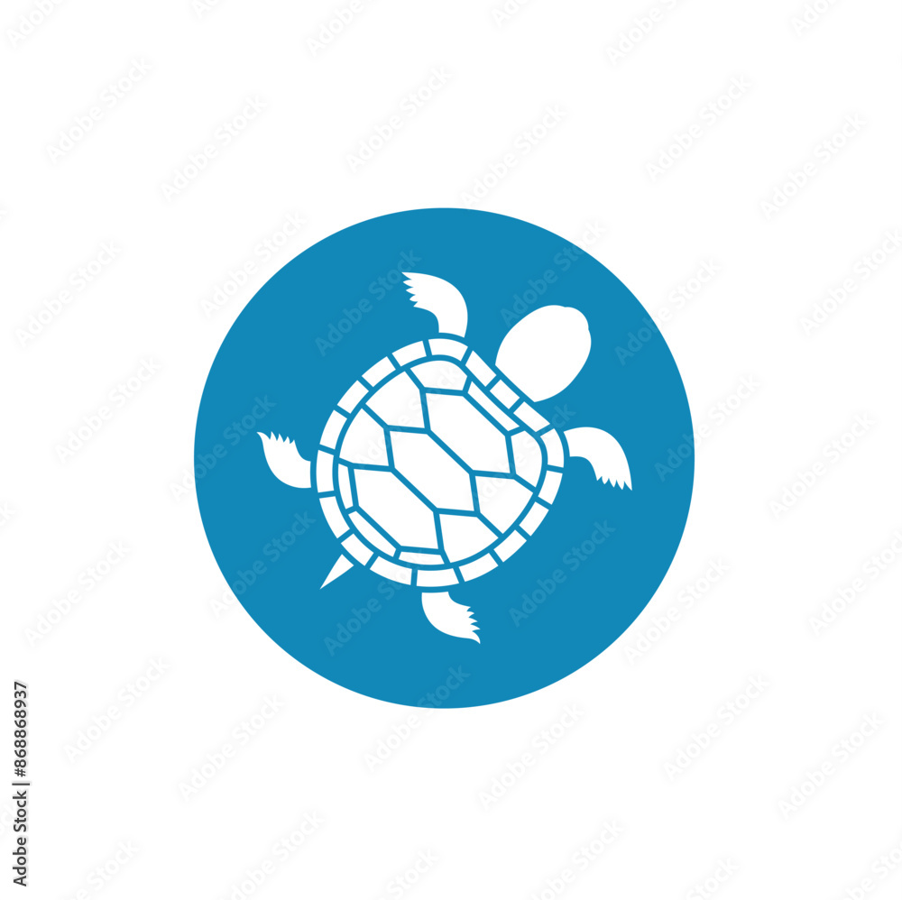 Turtles are animals belonging to the reptile group. Turtles are animals belonging to the reptile group.