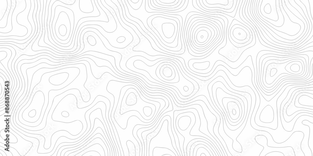 Topographic wave grid map. Geographic mountain relief. Abstract lines background. Topo contour map on white background, Topographic contour lines map seamless pattern. Topographic wave grid map. Geographic mountain relief. Abstract lines background. Topo contour map on white background, Topographic contour lines map seamless pattern.