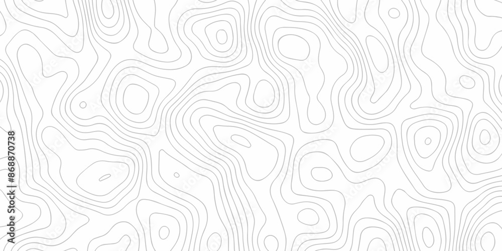 Topographic wave grid map. Geographic mountain relief. Abstract lines background. Topo contour map on white background, Topographic contour lines map seamless pattern. Topographic wave grid map. Geographic mountain relief. Abstract lines background. Topo contour map on white background, Topographic contour lines map seamless pattern.
