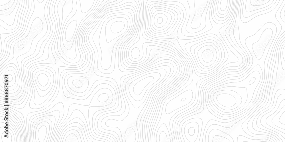 Topographic wave grid map. Geographic mountain relief. Abstract lines background. Topo contour map on white background, Topographic contour lines map seamless pattern. Topographic wave grid map. Geographic mountain relief. Abstract lines background. Topo contour map on white background, Topographic contour lines map seamless pattern.