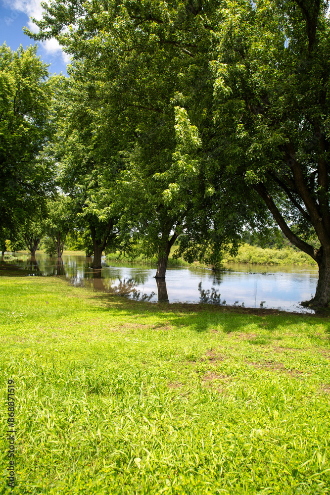 Trees and Flood Water, Des Moines River Flooding after Torrential Rain, June 23, 2024, Windom, MN Trees and Flood Water, Des Moines River Flooding after Torrential Rain, June 23, 2024, Windom, MN