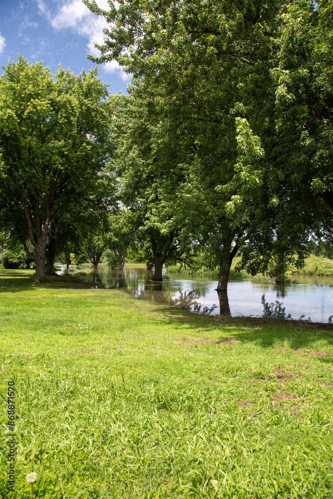 Trees and Flood Water, Des Moines River Flooding after Torrential Rain, June 23, 2024, Windom, MN Trees and Flood Water, Des Moines River Flooding after Torrential Rain, June 23, 2024, Windom, MN