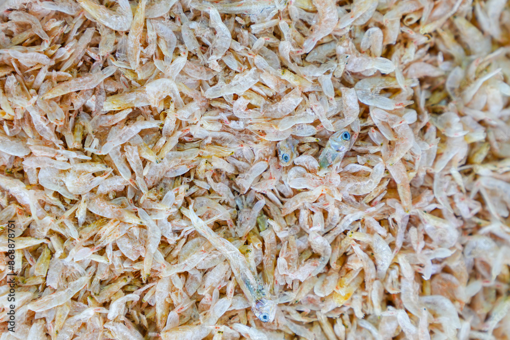 Close-up of dried anchovies. Seafood in the market. Close-up of dried anchovies. Seafood in the market.