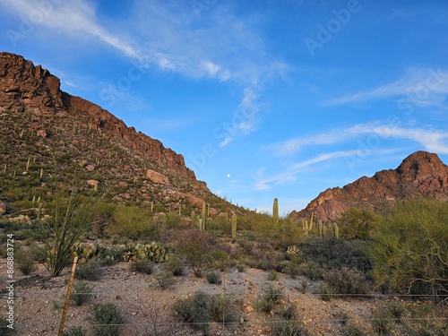 Desert Landscape