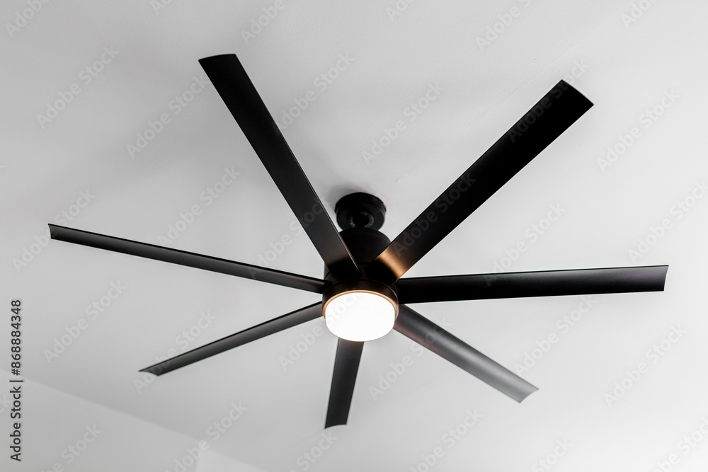 Modern Ceiling Fan With Light Fixture And White Background Modern Ceiling Fan With Light Fixture And White Background