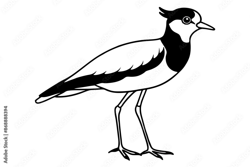 Obraz premium lapwing silhouette vector illustration