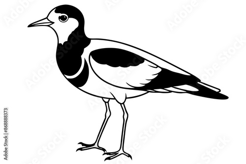 lapwing silhouette vector illustration