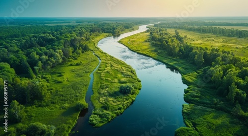 Aerial View of a Winding River Flowing Through Lush Green Forest on a Sunny Summer Day