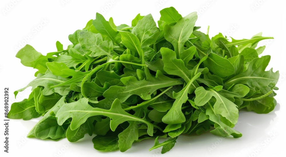 Fresh Green Arugula Leaves on White Background Fresh Green Arugula Leaves on White Background