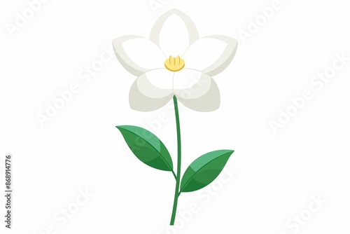 flower, simplicity, beauty, white background, single white flower on white background.