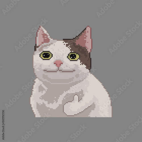 Approved by  poker face cat, pixel art meme