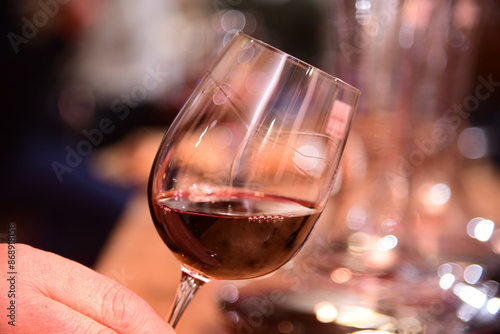 Copa de vino Malbec