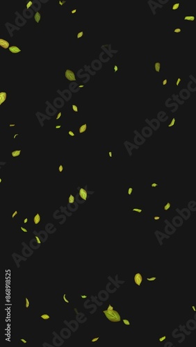  Loop Green falling leaves on alpha channel. Transparent Background. Matte
