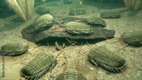 Photography An illustration of a group of extinct Trilobites scavenging on a seafloor 420 million years ago
