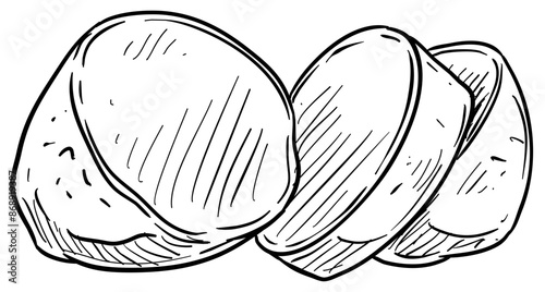 potato handdrawn illustration