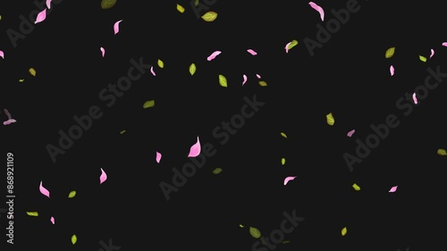 Loop Flying petals and leaves on Transparent Background. Alpha Channel. Matte