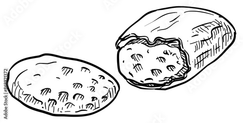 nuts handdrawn illustration